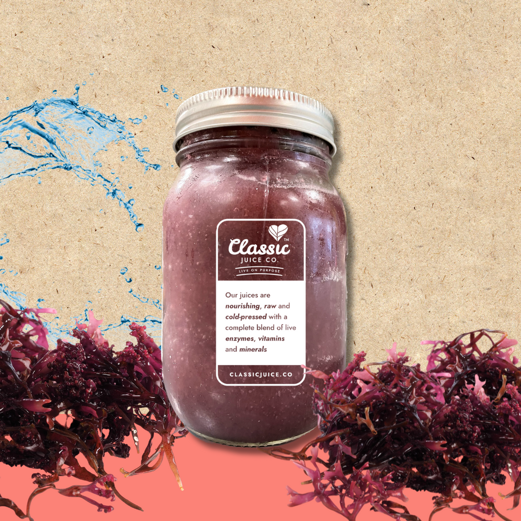 Purple Sea Moss Gel – Classic Juice Co