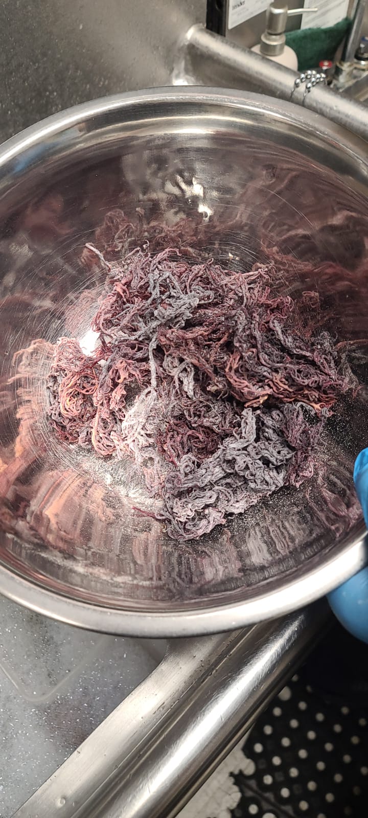 dried purple moss, dried sea moss, 92 minerals, healthy, superfood, organic, vegan, where to buy sea moss toronto, where to find sea moss in toronto, natural sea moss, non-gmo, wellness products