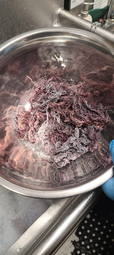 dried purple moss, dried sea moss, 92 minerals, healthy, superfood, organic, vegan, where to buy sea moss toronto, where to find sea moss in toronto, natural sea moss, non-gmo, wellness products